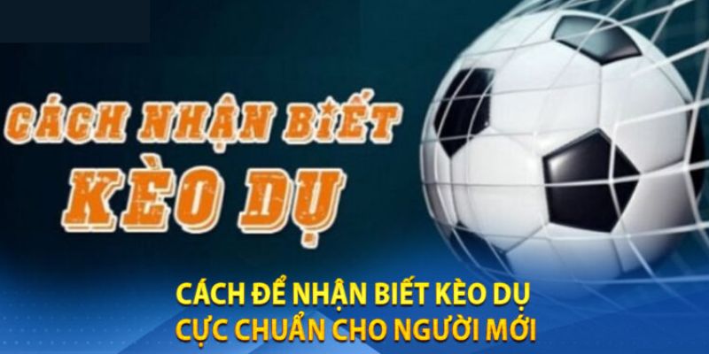 Tổng hợp cách nhận biết kèo dụ tân binh nên biết