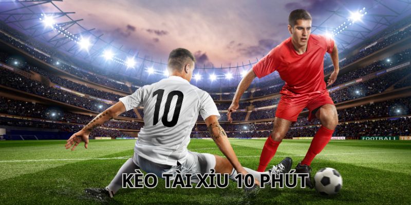 Quan sát yếu tố xung quanh trận đấu