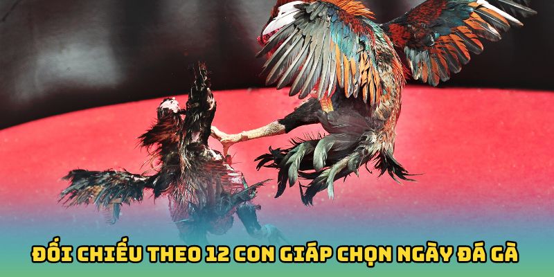 Đối chiếu theo 12 con giáp