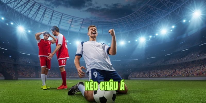Cách đọc một vài tỷ lệ kèo phổ biến cho newbie
