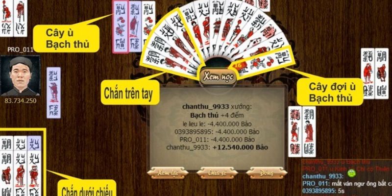 Cách chơi bài chắn cơ bản cho tân binh