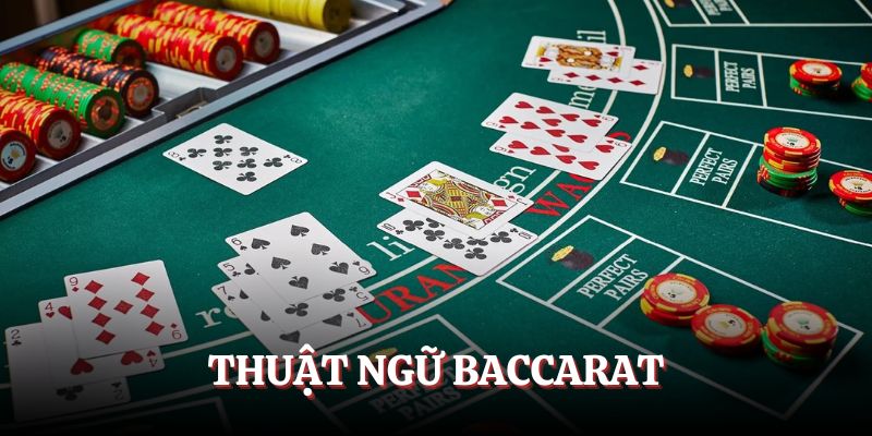 Các thuật ngữ cần nắm trong cách chơi Baccarat