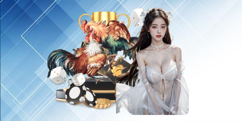 Sơ lược sảnh live daga