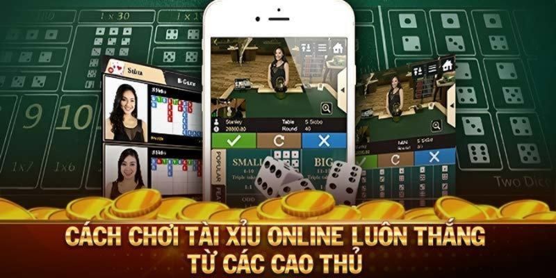 Khám phá cách chơi tài xỉu online chuẩn xác nhất