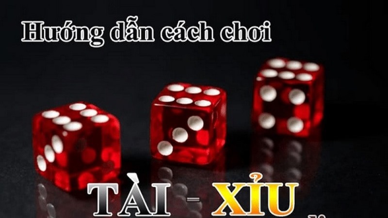 Hướng dẫn cách chơi Tài xỉu online cơ bản cho tân binh
