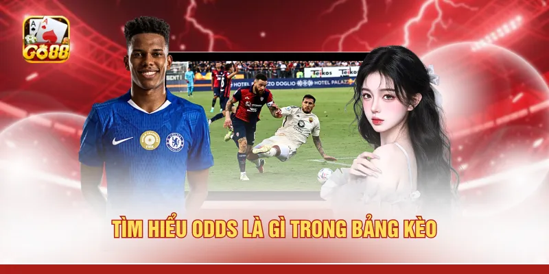 Tìm hiểu odds là gì trong bảng kèo