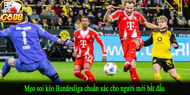 Mẹo soi kèo Bundesliga chuẩn xác cho người mới bắt đầu