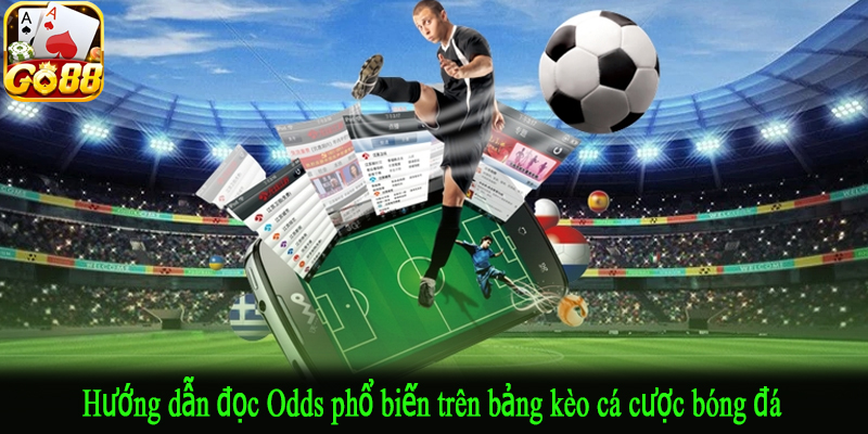 Hướng dẫn đọc Odds phổ biến trên bảng kèo cá cược bóng đá