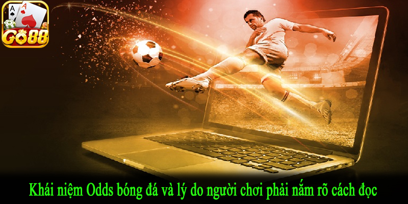 Khái niệm Odds bóng đá và lý do người chơi phải nắm rõ cách đọc