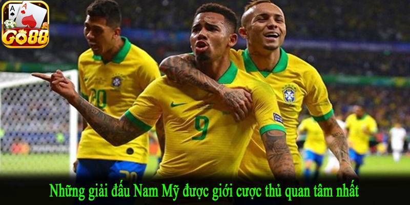Những giải đấu Nam Mỹ được giới cược thủ quan tâm nhất