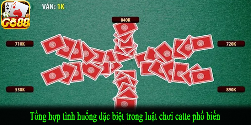 Tổng hợp tình huống đặc biệt trong luật chơi catte phổ biến