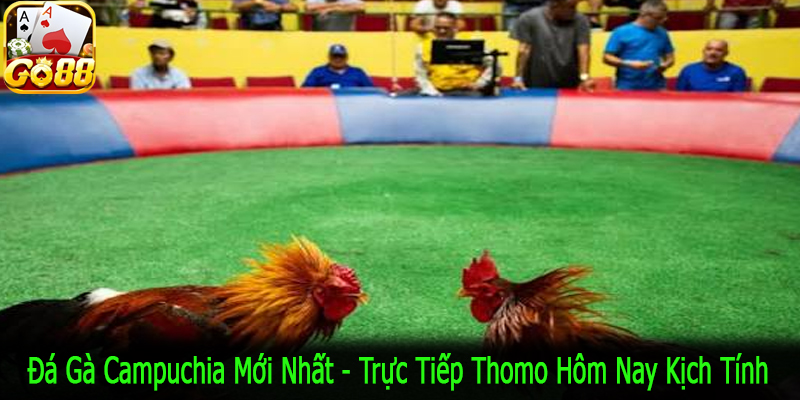 đá gà Campuchia mới nhất