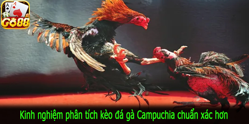 Kinh nghiệm phân tích kèo đá gà Campuchia chuẩn xác hơn