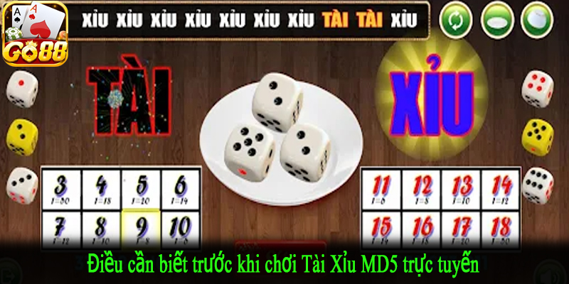 Điều cần biết trước khi chơi Tài Xỉu MD5 trực tuyến