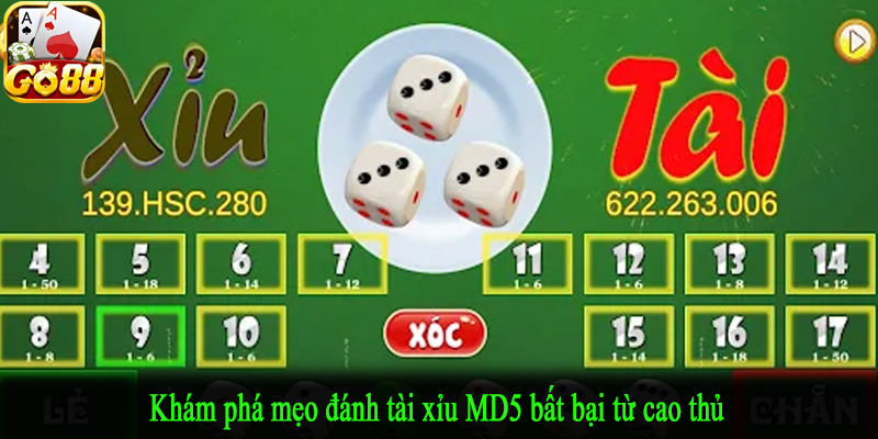 Khám phá mẹo đánh tài xỉu MD5 bất bại từ cao thủ
