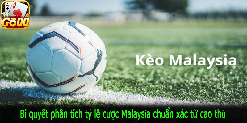 Bí quyết phân tích tỷ lệ cược Malaysia chuẩn xác từ cao thủ