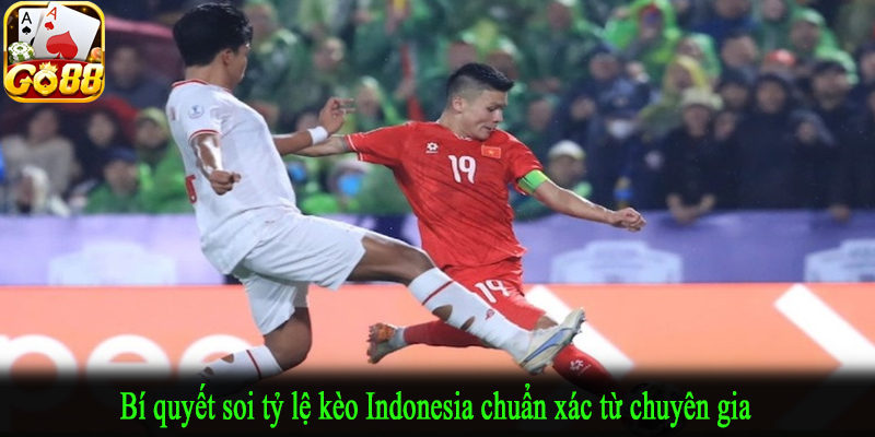 Bí quyết soi tỷ lệ kèo Indonesia chuẩn xác từ chuyên gia