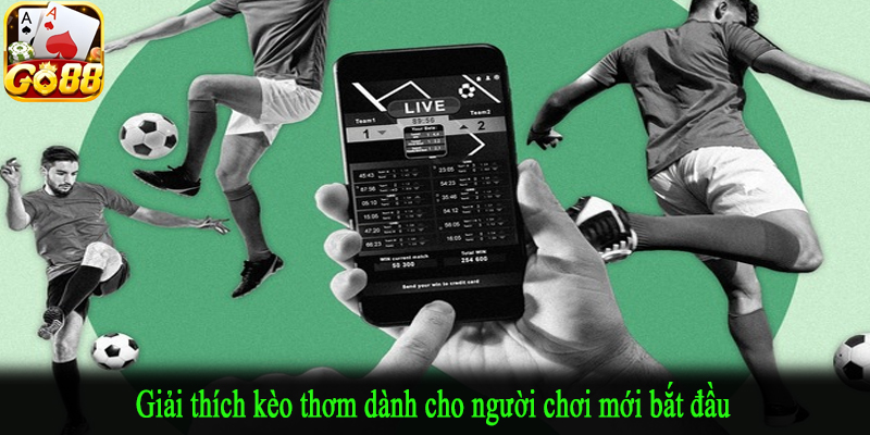 Giải thích kèo thơm dành cho người chơi mới bắt đầu