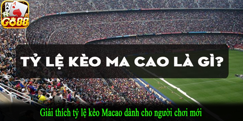 Giải thích tỷ lệ kèo Macao dành cho người chơi mới