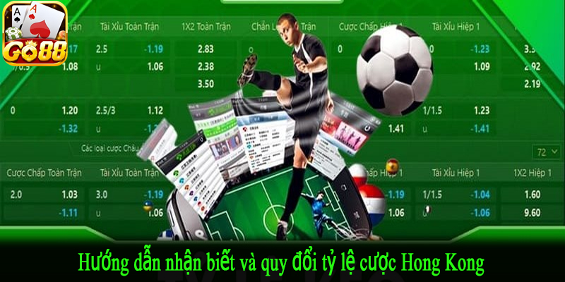 Hướng dẫn nhận biết và quy đổi tỷ lệ cược Hong Kong