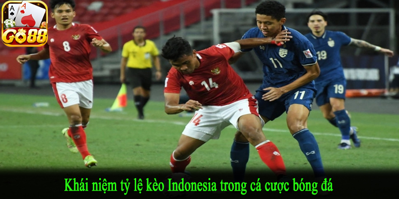 Khái niệm tỷ lệ kèo Indonesia trong cá cược bóng đá