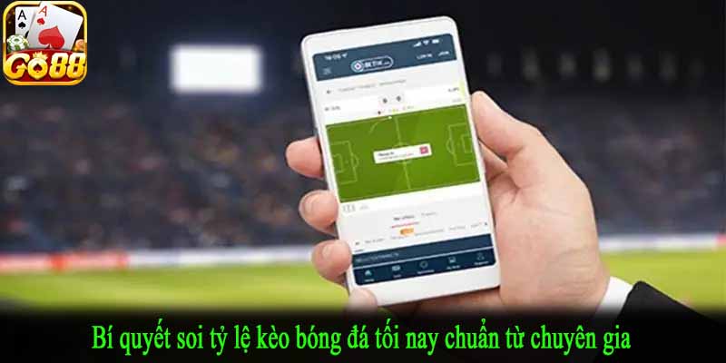 Bí quyết soi tỷ lệ kèo bóng đá tối nay chuẩn từ chuyên gia