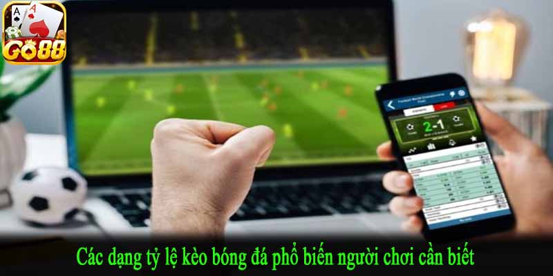 Các dạng tỷ lệ kèo bóng đá phổ biến người chơi cần biết