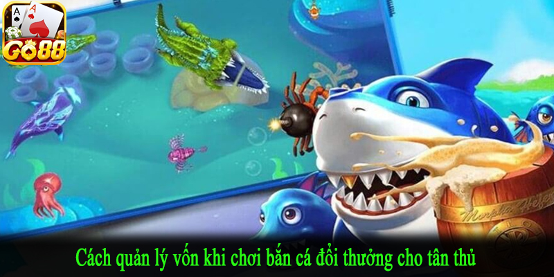 Cách quản lý vốn khi chơi bắn cá đổi thưởng cho tân thủ
