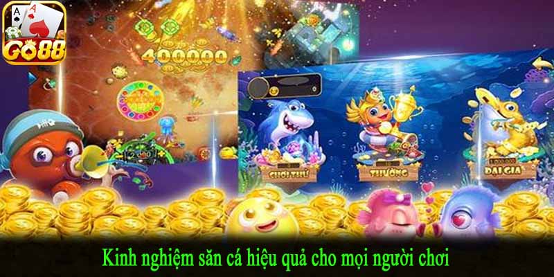 Kinh nghiệm săn cá hiệu quả cho mọi người chơi