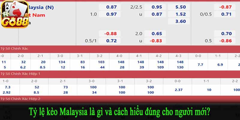Tỷ lệ kèo Malaysia là gì và cách hiểu đúng cho người mới?